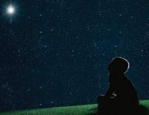 Why Do Humans Look to the Stars for Answers?